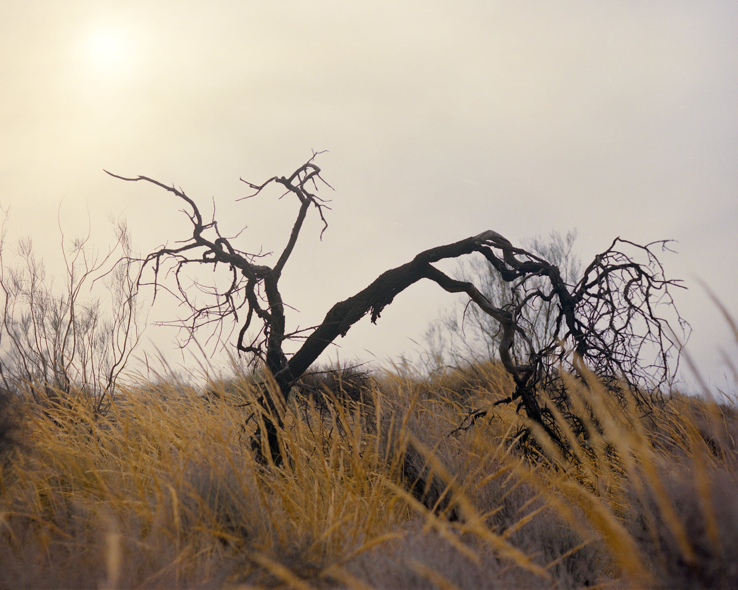 Sin El Sol No Hay Nada 10